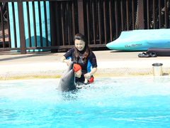 -新加坡海洋生态馆