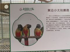 -米果果小镇