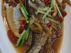 黄花鱼酱油水-阿里元老宋海鲜大排档(明发店)