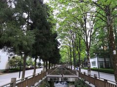 -井冈山风景名胜区