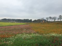 -光明小镇欢乐田园