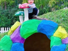 -前小桔亲子创意农场·草莓采摘·露营烧烤