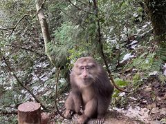 -九峰山