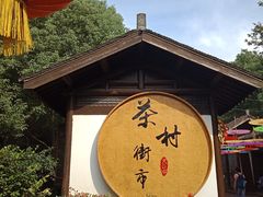 -天目湖山水园