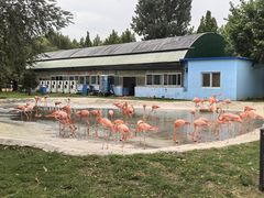 -秦皇岛野生动物园