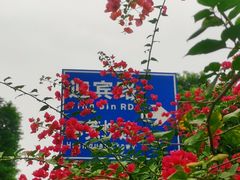 -东莞植物园