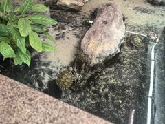 -湘阅•威海海鲜•湖南味道(华宝店)