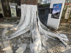 -绩溪龙川景区