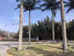 -西安国际创新人才交流中心•药浴温泉