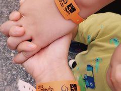 -田园东方蜜桃村的田野营地