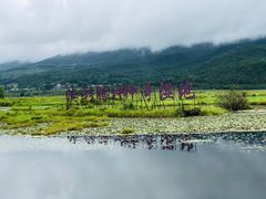 -腾冲北海湿地