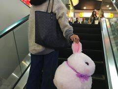-LLJ夹机占(正佳广场店)
