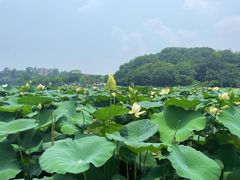 -南京珍珠泉风景区