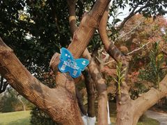 -昆山城市生态森林公园