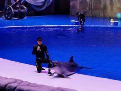 -华夏文旅海洋公园