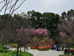 -南山植物园