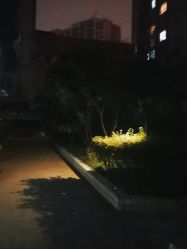 -成都阿难陀艾扬格瑜伽中心