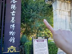 -洛阳古墓博物馆