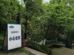 -南山植物园