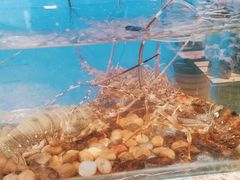 -西安高新希尔顿酒店·咖啡露台西餐厅