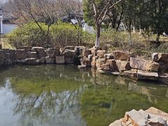 -宜兴龙背山森林公园