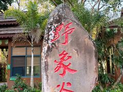 -野象谷景区
