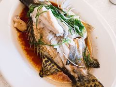 -贺富酒家(白藤二路分店)