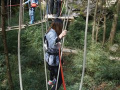 -梦幻奥陶纪景区