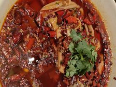 -同庆楼(滨湖万达广场店)