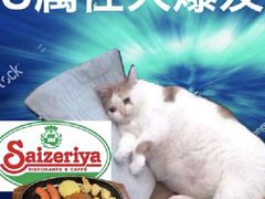 -萨莉亚意式餐厅(石鼓路店)