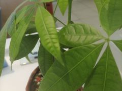 -苏宁易购(上海沪太路二店)