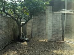 -凤阁楼果木烧鹅(鹤山陈山店)