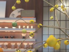-溯洄咖啡VORTEX COFFEE