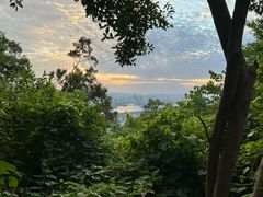 -紫金山山顶公园