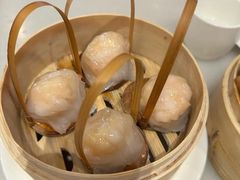 -金鼎轩(方庄店)