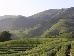 iphone_upload_pic-帐篷客·溪龙茶谷度假酒店
