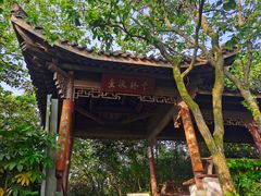 -杭州半山国家森林公园