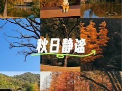 -云溪植物园