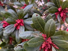 -重庆中央公园(渝北区)