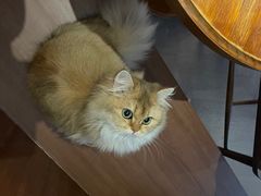 -灯塔咖啡馆BOOK·Coffee Shop