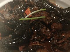 -宋小谨(惠安禹洲店)