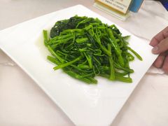 蒜蓉时蔬-锦粤宫·精致粤菜(深圳北站店)
