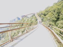 -少华山国家森林公园