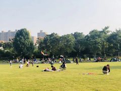 -杭州城北体育公园