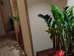 -中苑海韵