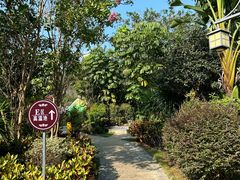 -林丰温泉度假山庄