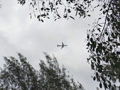 -宝安西湾红树林湿地公园