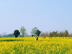 -蜀绣公园