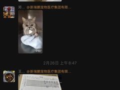 -美联众合爱康动物医院•复杂内科•肿瘤科•牙科•腔镜诊疗中心