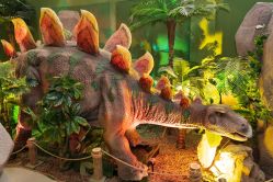 -恐龙探索乐园(磁器口店)